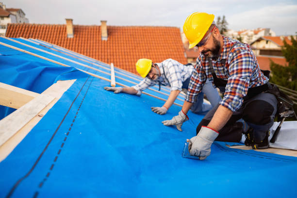 Best Roof Gutter Cleaning  in Lake Placid, FL